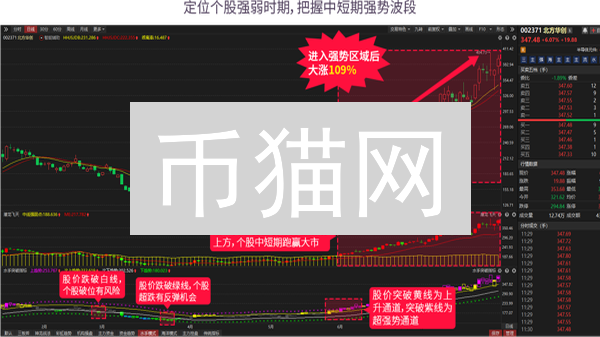 币猫网：数字货币投资的数据分析利器
