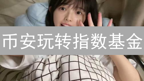 币安玩转指数基金？手把手教你构建加密货币投资组合！