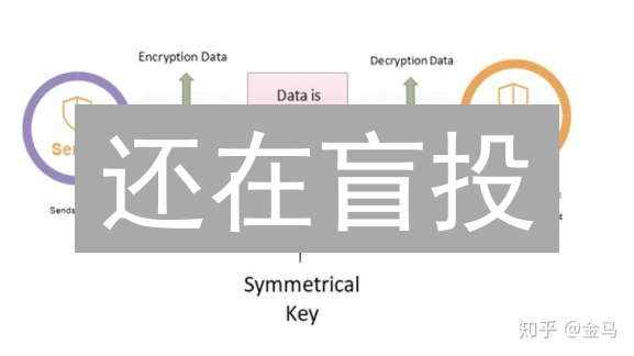 还在盲投？掌握加密货币风险控制，收益翻倍！