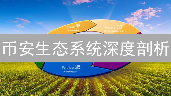 币安生态系统深度剖析：还能领跑多久？未来发展趋势预测！
