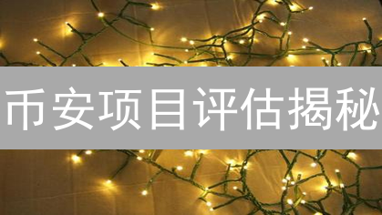 币安项目评估揭秘：数据驱动下的投资避坑指南？