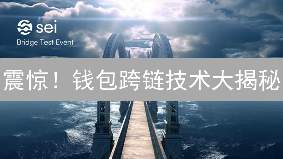 震惊！钱包跨链技术大揭秘：未来财富新风口？
