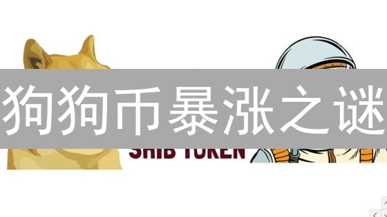狗狗币暴涨之谜：社区、马斯克与投机？看完这篇就懂！