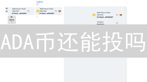 ADA币还能投吗？Cardano安全深度剖析，抓住机遇！