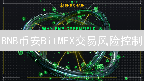 BNB币安BitMEX交易风险控制：新手必看避坑指南？