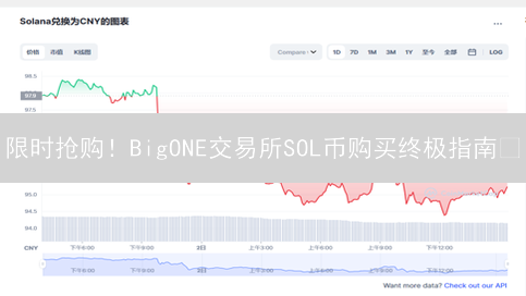 限时抢购！BigONE交易所SOL币购买终极指南🔥
