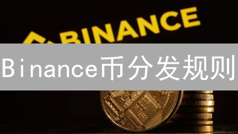 Binance币分发规则：精心策划的数字盛宴