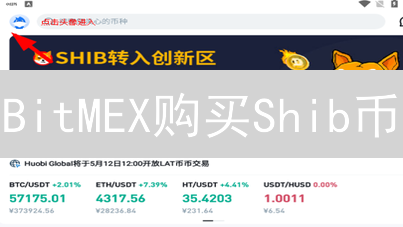 BitMEX购买Shib币：官网页面查找的想象之旅