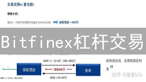 Bitfinex杠杆交易：10招教你玩转高风险，稳健盈利！