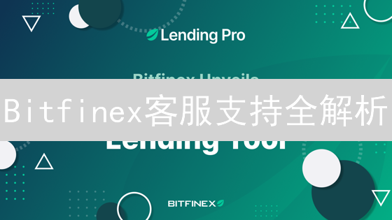 Bitfinex客服支持全解析：速度与质量的博弈？