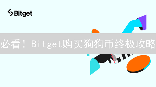 必看！Bitget购买狗狗币终极攻略：省钱技巧大揭秘