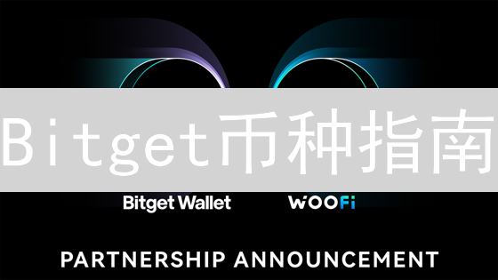 Bitget币种指南：抓住牛市机会，新手必看！