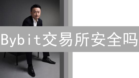 Bybit交易所安全吗？加密货币安全存储终极指南！