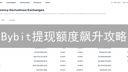 Bybit提现额度飙升攻略：安全认证，资产无忧！