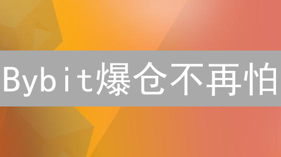 Bybit爆仓不再怕？揭秘最强风控体系，保你稳赚不赔！