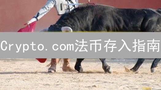 Crypto.com法币存入指南：安全畅游加密世界