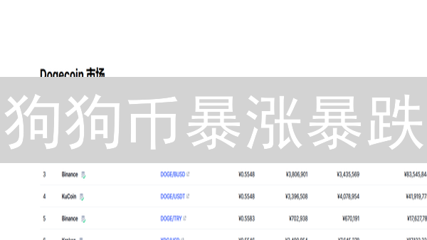 狗狗币暴涨暴跌？揭秘影响DOGE价格的七大真相！