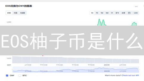 EOS柚子币是什么？2024年投资价值分析，未来价格预测！