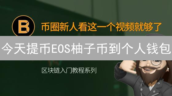 今天提币EOS柚子币到个人钱包？新手必看安全指南！（附最新教程）