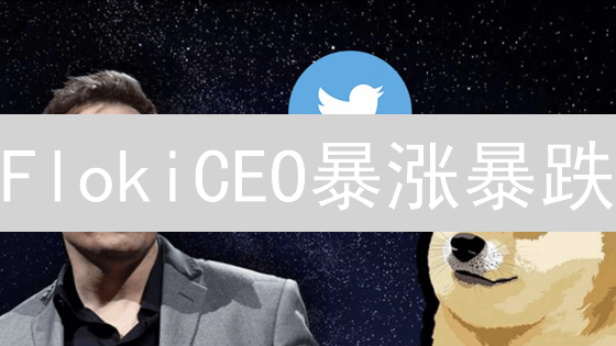 FlokiCEO暴涨暴跌？深度解读影响价格的十大关键因素！