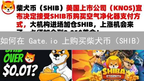 如何在 Gate.io 上购买柴犬币（SHIB）？新手指南！