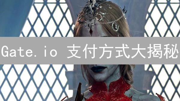 Gate.io 支付方式大揭秘：哪种最适合你？新手必看！