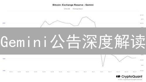 Gemini公告深度解读：抓住投资先机，规避风险！