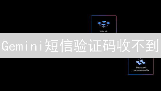 Gemini短信验证码收不到？三招教你解决！