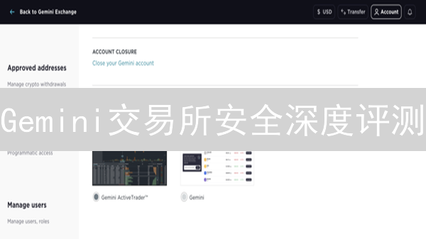 Gemini交易所安全深度评测：保障你的数字资产？ | 实用指南