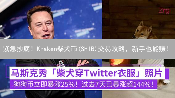 紧急抄底！Kraken柴犬币(SHIB)交易攻略，新手也能赚！