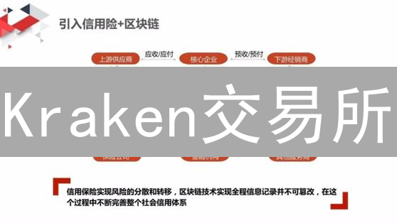 Kraken交易所：驾驭区块链数据分析浪潮的策略与实践