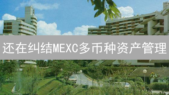 还在纠结MEXC多币种资产管理？看完这篇你就懂了！