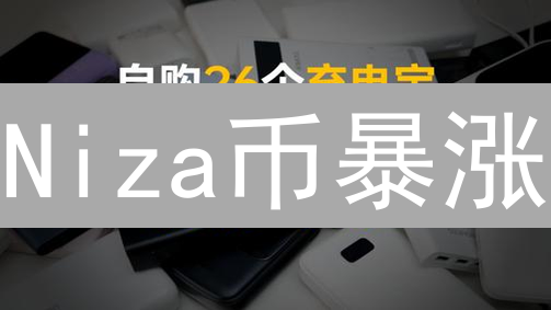 Niza币暴涨？3分钟掌握4种购买秘籍，错过后悔一年！