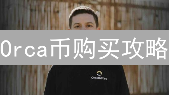 Orca币购买攻略：新手也能轻松玩转Solana生态！