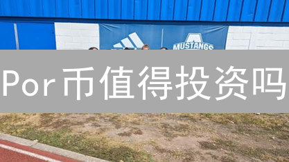 Por币值得投资吗？深度解析其潜力与风险！