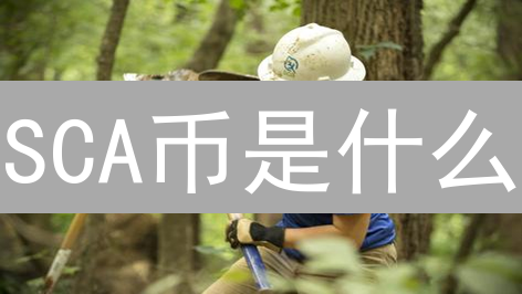 SCA币是什么？SocialChainAG发行SCA币用途详解（2024最新）