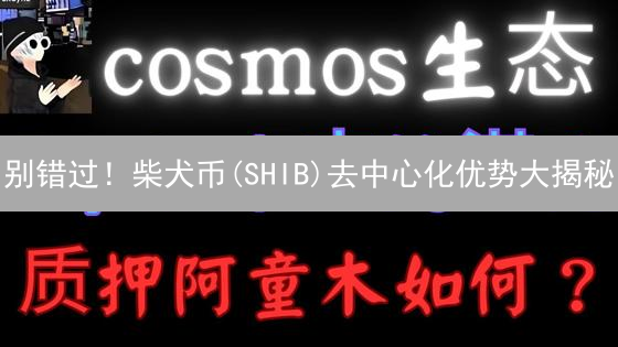 别错过！柴犬币(SHIB)去中心化优势大揭秘：下一个财富密码？