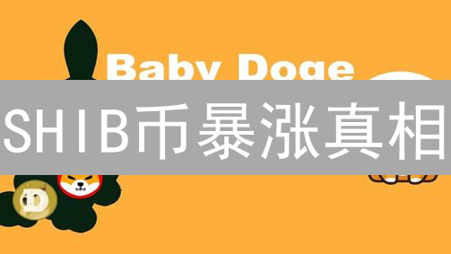 SHIB币暴涨真相：新手投资避坑指南！