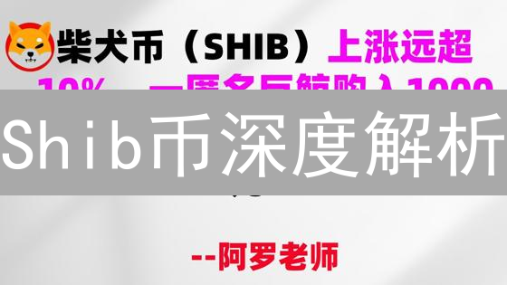 Shib币深度解析：是下一个狗狗币，还是昙花一现？【必看】