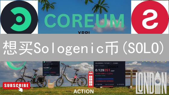 想买Sologenic币(SOLO)？避坑指南：新手也能轻松搞定！