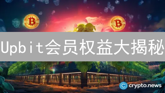 Upbit会员权益大揭秘：如何玩转特权，提升收益？