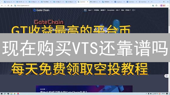 现在购买VTS还靠谱吗？2024年Veritise投资指南