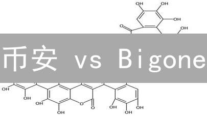 币安 vs Bigone：谁的界面更胜一筹？新手必看！