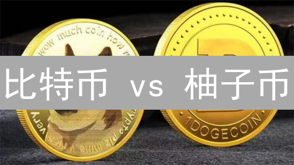 比特币 vs 柚子币：谁是区块链的未来？深度对比揭秘！